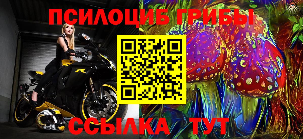 Галлюциногенные грибы Cubensis  Вход с VPN  Сегежа 